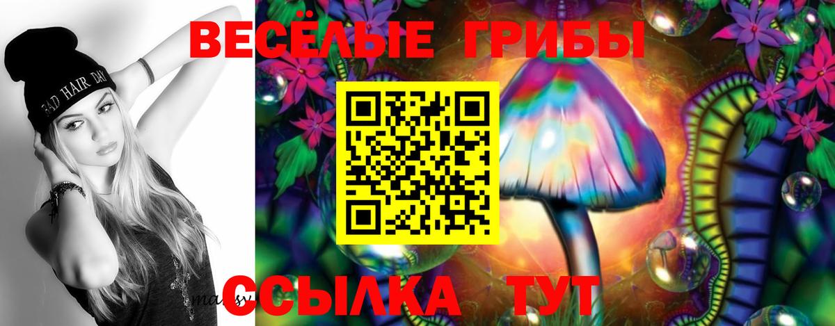 Касимов  ГАШИШ  Сколько стоит  Вход с VPN  Cocaine  Меф кристаллы  Бошки Шишки 