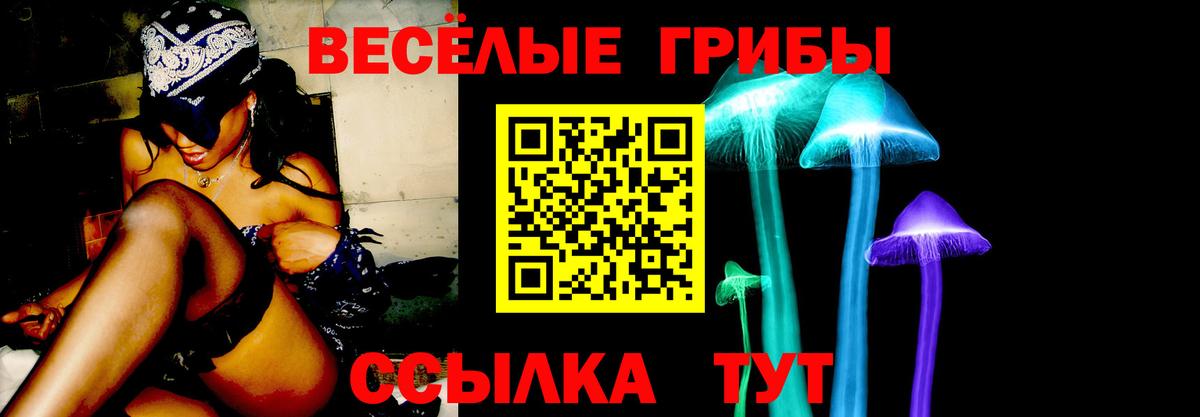 Галлюциногенные грибы Psilocybe  Галлюциногенные грибы мухоморы  Вход с VPN  Касимов 